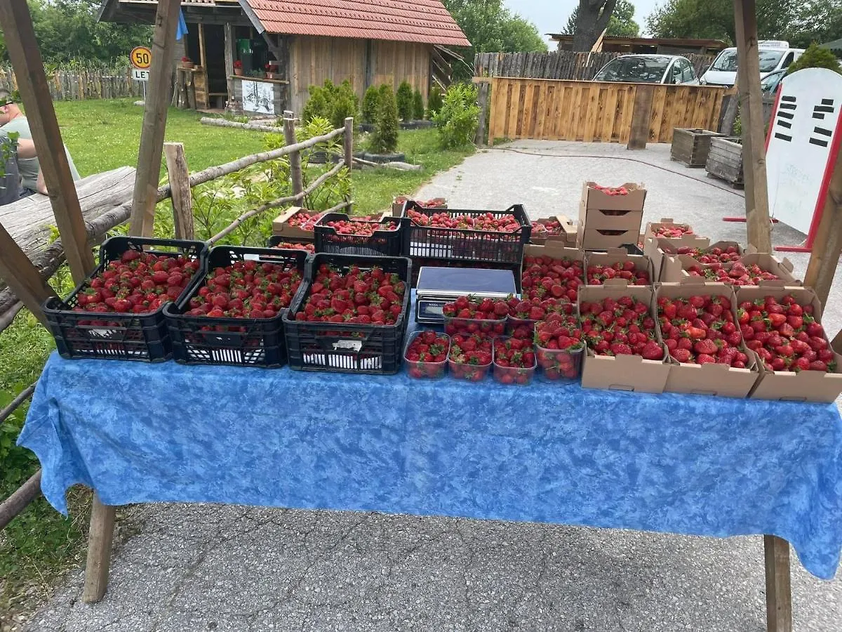 Gostinjska kuća Planinski Dom Jance