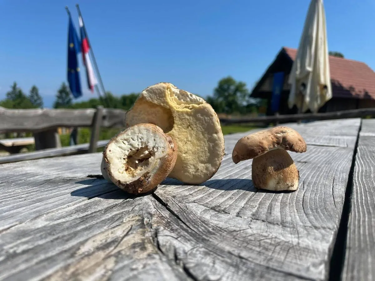 Affittacamere Planinski Dom Jance Lubiana
