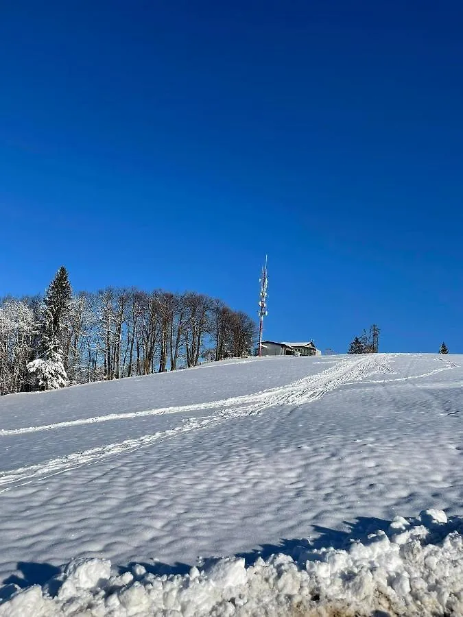 Gostinjska kuća Planinski Dom Jance